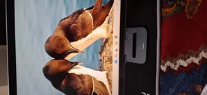 تجریه خرید نگهدارنده گوشی موبایل بیسوس مدل Biaxial METAL