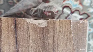 تجریه خرید جعبه دستمال کاغذی رایکا مدل چوبی