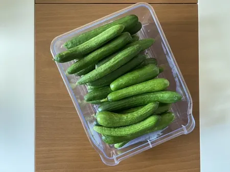 سبد نظم دهنده مرسه کد 1114