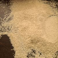 کنجد سفید کرالیچین - 500 گرم