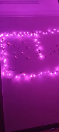 ریسه ال ای دی مدل سوزنی طرح پر طول 10 متری