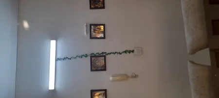 گل مصنوعی مدل ریسه برگ کد 398 طول 7/5 متر