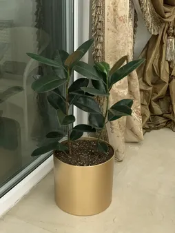 گلدان طرح استوانه مدل 35-103