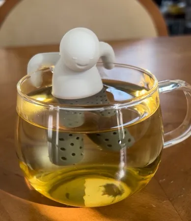 دمنوش ساز مدل Mr Tea