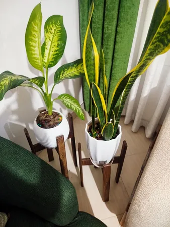 استند گلدان مدل آتروپات مجموعه 3 عددی