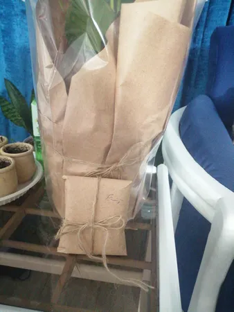 گیاه طبیعی آنتوریوم کد23- AS