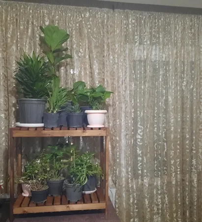 استند گلدان مدل 65