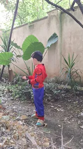 تجریه خرید ست ایفای نقش مدل لباس مرد عنکبوتی کد 100 مجموعه 6 عددی