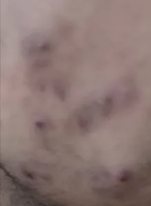 تجریه خرید کرم ترمیم کننده پوست لافارر مدل سوکرانیکا حجم 30 میلی لیتر