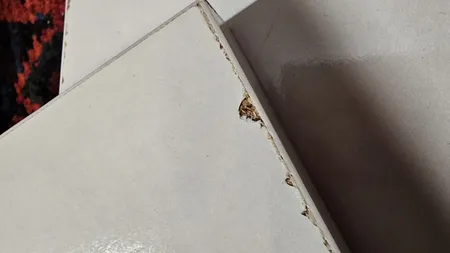 شلف دیواری کد 6775 بسته 3 عددی