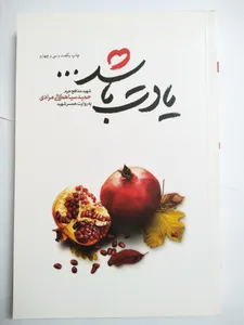 تجریه خرید کتاب یادت باشد اثر محمد رسول ملاحسنی انتشارات شهید کاظمی