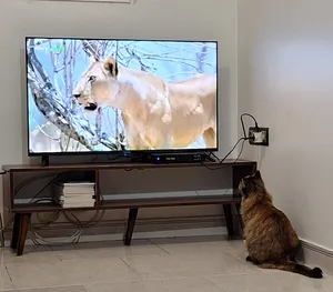 تجریه خرید تلویزیون 43 اینچ ال ای دی هوشمند ایستکول مدل LED43FS2