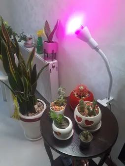 لامپ ال ای دی رشد گیاه 7 وات مدل LM2707GB پایه E27