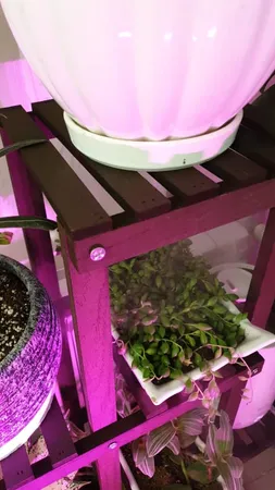 استند گلدان مدل fl9