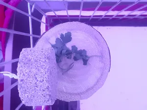 تجریه خرید سنگ بلوک معدنی پرندگان کد I200