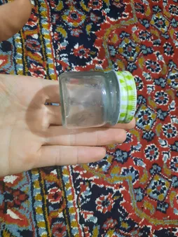 ست جای ادویه 3 پارچه زیبا مدل موژان