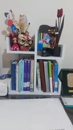 کتابخانه رومیزی مدل کاکتوس