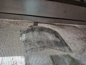 تجریه خرید چسب ترمیم توری پنجره نادیاهوم مدل meshrepair طول 2 متر