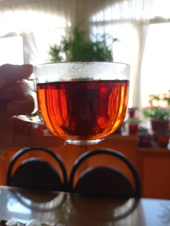 کاسه بلینک مکس مدل KTZB78-1