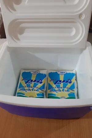 یخدان سفری کیش ترموس مدل 002 گنجایش 11 لیتر