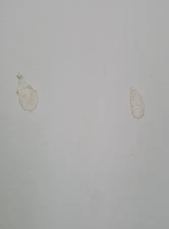 گیره نگهدارنده مدل برگ بسته 20 عددی