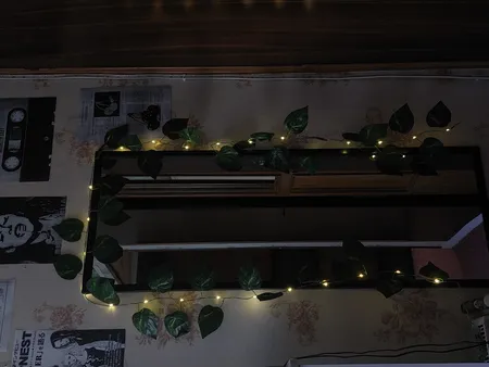 ریسه ال ای دی طرح برگ پتوس طول 2 متر