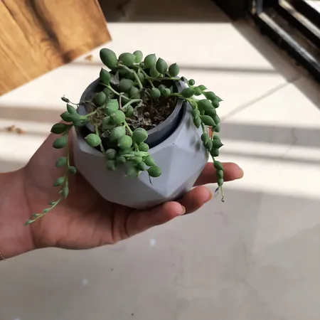 گلدان بتنی مدل چند وجهی