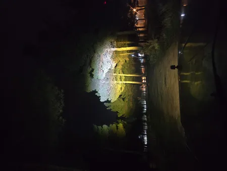 پروژکتور خودرو مدل mop