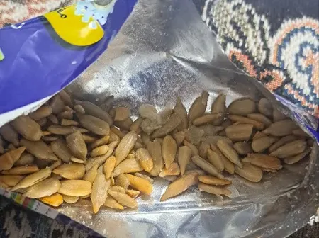 مغز نمکی تخمه آفتابگردان گلستان مقدار 40 گرم