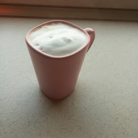 کف شیر ساز مدل p400