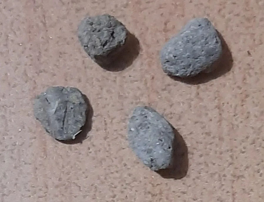 مغز تخمه آفتابگردان خام قصیده - 700 گرم