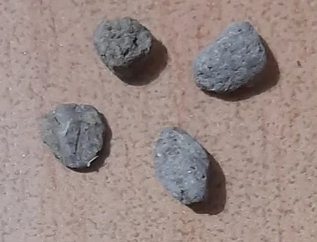 مغز تخمه آفتابگردان خام قصیده - 700 گرم