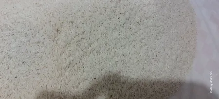 برنج طارم عطری ممتاز مازندران - 10 کیلوگرم