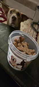 تجریه خرید تشویقی سگ تیدبیت مدل CRUNCHY TREATS وزن 160 گرم