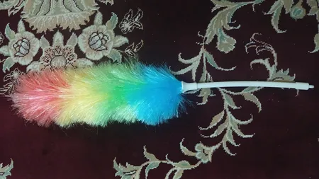 گردگیر مدل 1009