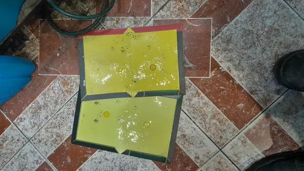 عکس ارسالی خریدار