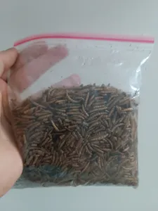 تجریه خرید غذای خشک پرندگان مدل میلورم کد T3002 وزن 100 گرم