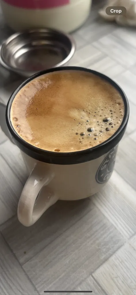 اسپرسو ساز 1100 میلی‌لیتر ایکس ویژن مدل  EM-1315