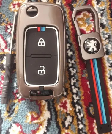 کاور ریموت خودرو مدل p_405 فلزی مناسب برای پژو پارس