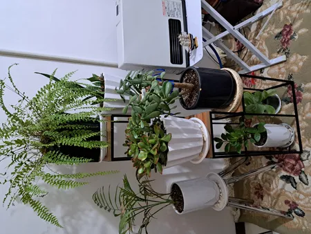 استند گلدان مدل 807