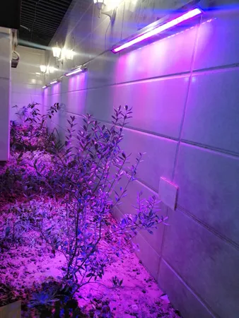 وال واشر ال ای دی رشد گیاه 24 وات مدل BS-24