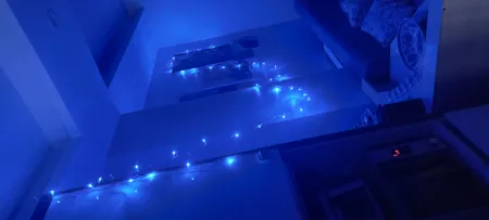 ریسه ال ای دی مدل سوزنی طول 10 متری