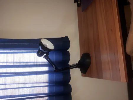 چراغ مطالعه صنایع کریم زاده مدل EN