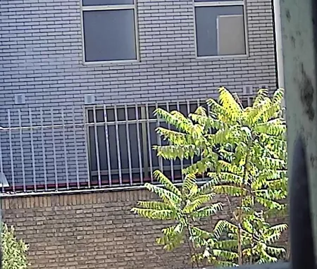 دوربین مداربسته تحت شبکه اسفیورد مدل Z336