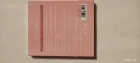 مداد لب دراگون رانی مدل waterproof مجموعه ۱۲ عددی