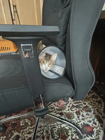 صندلی گیمینگ کاد گستر مدل VIP G2024