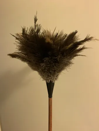 گردگیر مدل mini00