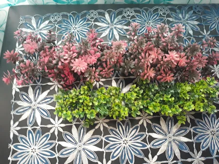 گیاه تزیینی آکواریوم مدل چمن خطی مونت کارلو