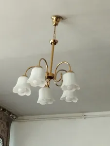 تجریه خرید لوستر 5 شعله چشمه نور کد 856.5