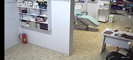 دوربین مداربسته تحت شبکه اسفیورد مدل Z336